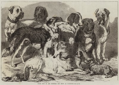 イズリントンでのナショナルドッグショーの賞犬 作： Samuel John Carter